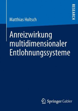 Kniha Anreizwirkung Multidimensionaler Entlohnungssysteme Matthias Holtsch