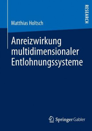 Buch Anreizwirkung Multidimensionaler Entlohnungssysteme Matthias Holtsch