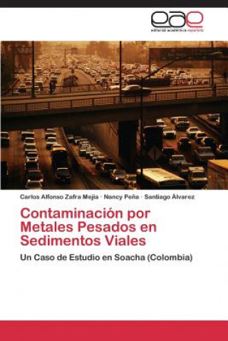 Könyv Contaminacion por Metales Pesados en Sedimentos Viales Carlos Alfonso Zafra Mejía