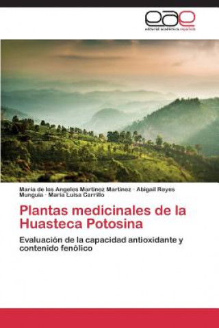 Könyv Plantas Medicinales de La Huasteca Potosina María de los Angeles Martínez Martínez