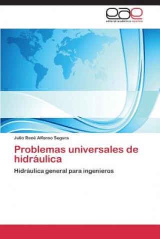 Könyv Problemas universales de hidraulica Julio Rene Alfonso Segura