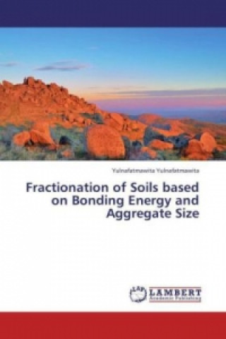 Carte Fractionation of Soils based on Bonding Energy and Aggregate Size Yulnafatmawita Yulnafatmawita