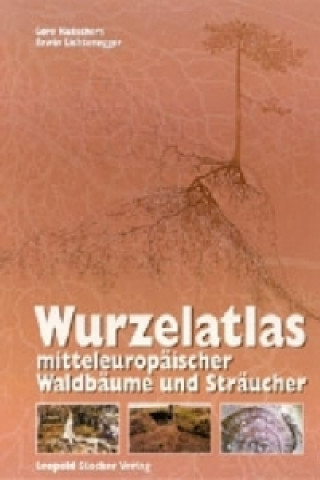 Knjiga Wurzelatlas mitteleuropäischer Waldbäume und Sträucher Lore Kutschera