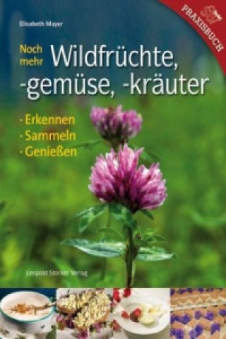 Kniha Noch mehr Wildfrüchte, -gemüse, -kräuter Elisabeth Mayer