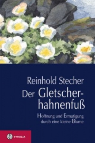 Kniha Der Gletscherhahnenfuß Reinhold Stecher