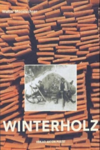 Kniha Winterholz Walter Mooslechner