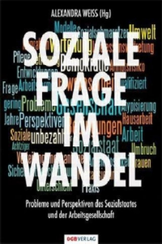 Libro Soziale Frage im Wandel Alexandra Weiss