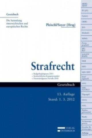 Buch Strafrecht Werner Pleischl