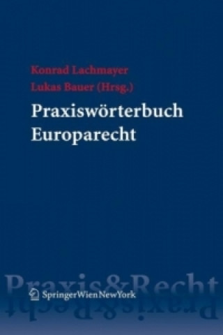 Kniha Praxiswörterbuch Europarecht Konrad Lachmayer