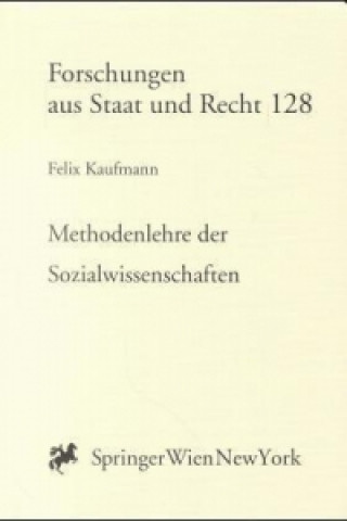 Könyv Methodenlehre der Sozialwissenschaften Felix Kaufmann