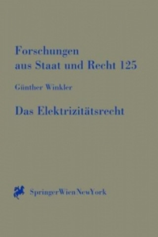 Kniha Das Elektrizitätsrecht Günther Winkler