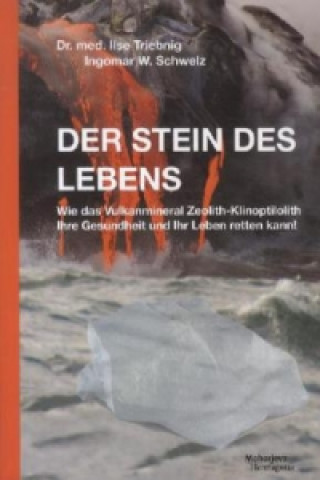 Kniha Der Stein des Lebens Ilse Triebnig