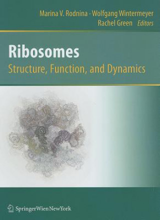 Książka Ribosomes  Structure, Function, and Dynamics Marina Rodnina