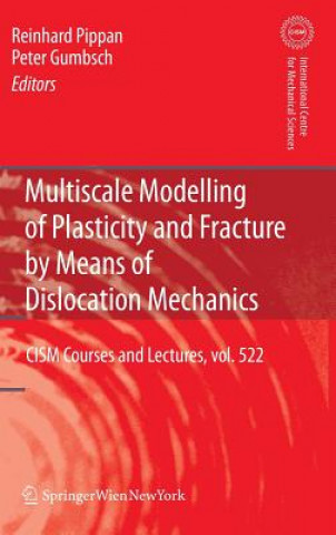 Könyv Multiscale Modelling of Plasticity and Fracture by Means of Dislocation Mechanics Reinhard Pippan
