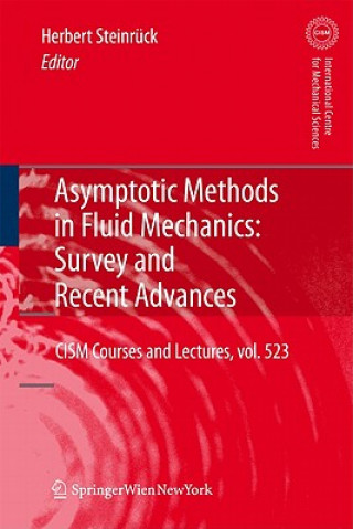 Könyv Asymptotic Methods in Fluid Mechanics: Survey and Recent Advances Herbert Steinrück