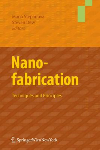Carte Nanofabrication Maria Stepanova
