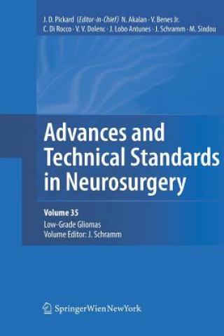 Kniha Advances and Technical Standards in Neurosurgery, Vol. 35 Johannes Schramm