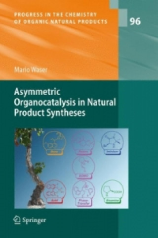 Kniha Asymmetric Organocatalysis in Natural Product Syntheses Mario Waser