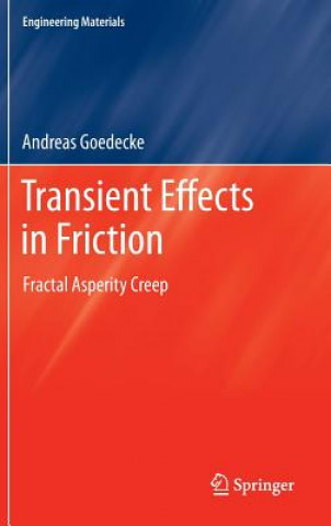 Kniha Transient Effects in Friction Andreas Goedecke
