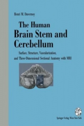 Kniha The Human Brain Stem and Cerebellum Henri M. Duvernoy