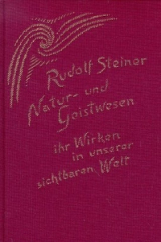 Carte Natur- und Geistwesen - ihr Wirken in unserer sichtbaren Welt Rudolf Steiner