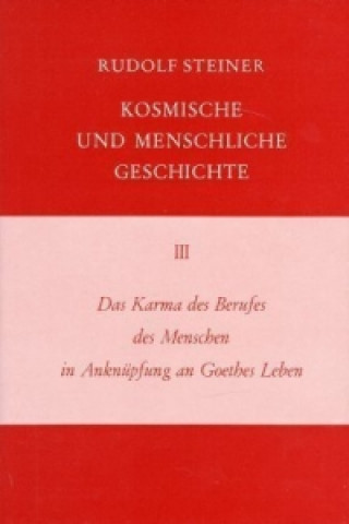Kniha Das Karma des Berufes des Menschen in Anknüpfung an Goethes Leben Rudolf Steiner