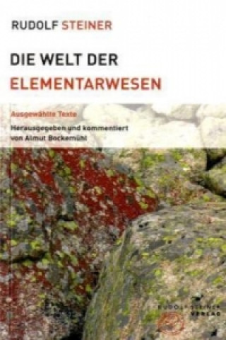 Könyv Die Welt der Elementarwesen Rudolf Steiner