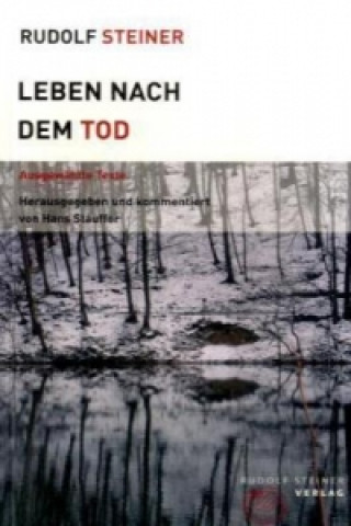 Книга Leben nach dem Tod Rudolf Steiner
