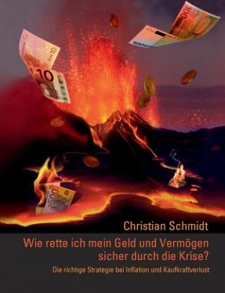 Kniha Wie rette ich mein Geld und Vermoegen sicher durch die Krise? Christian Schmidt