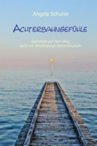 Boek Achterbahngefühle Angela Schulze