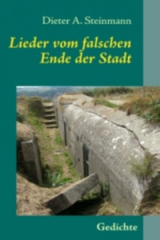 Kniha Lieder vom falschen Ende der Stadt Dieter A. Steinmann