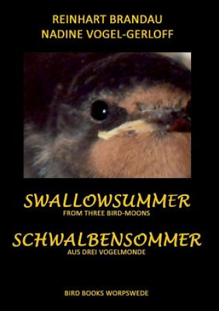 Βιβλίο Schwalbensommer Reinhart Brandau