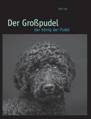 Könyv Grosspudel Rita Lell