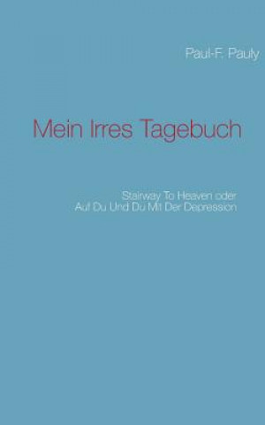 Könyv Mein irres Tagebuch Paul-F. Pauly