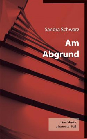 Kniha Am Abgrund Sandra Schwarz