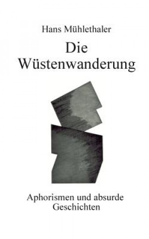 Könyv Wustenwanderung Hans Mühlethaler