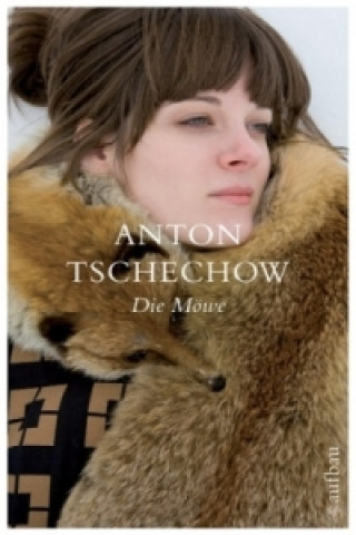 Könyv Die Möwe Anton Tschechow