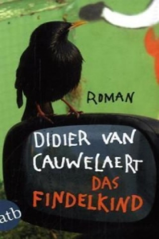 Buch Das Findelkind Didier van Cauwelaert