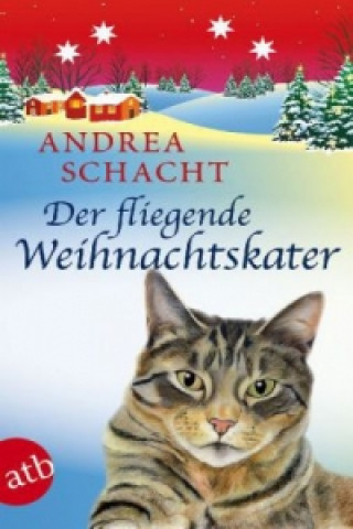 Könyv Der fliegende Weihnachtskater Andrea Schacht