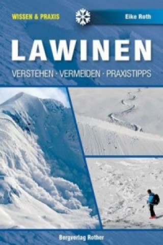 Buch Lawinen Eike Roth