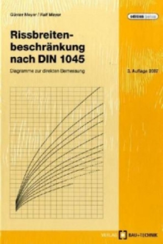 Книга Rissbreitenbeschränkung nach DIN 1045 Günter Meyer