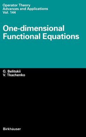 Buch One-dimensional Functional Equations Genrich Belitskii