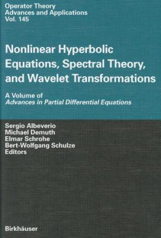 Kniha Nonlinear Hyperbolic Equations, Spectral Theory, and Wavelet Transformations Sergio Albeverio