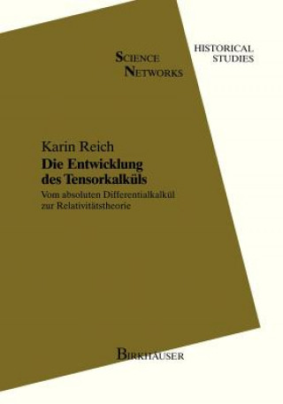 Könyv Entwicklung DES Tensorkalkus Karin Reich