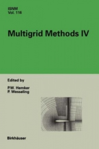 Libro Multigrid Methods IV P.W. Hemker