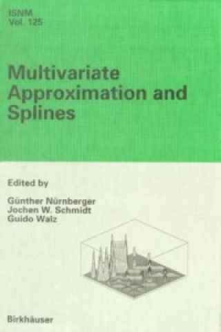 Kniha Multivariate Approximation and Splines Günther Nürnberger