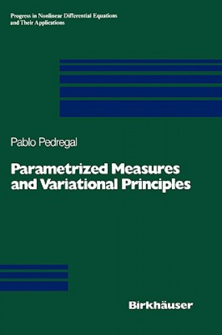 Book Parametrized Measures and Variational Principles Pablo Pedregal