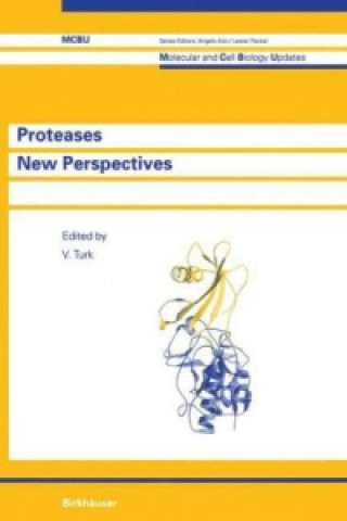 Kniha Proteases New Perspectives Vito Turk