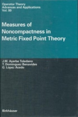 Kniha Measures of Noncompactness in Metric Fixed Point Theory J.M. Ayerbe Toledano