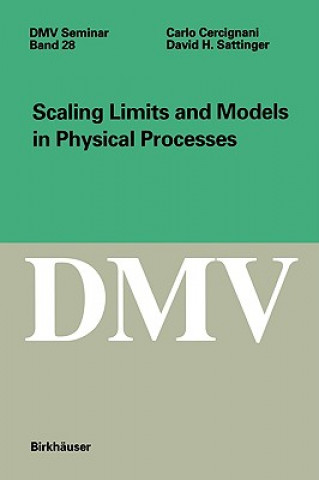 Carte Scaling Limits and Models in Physical Processes Carlo Cercignani